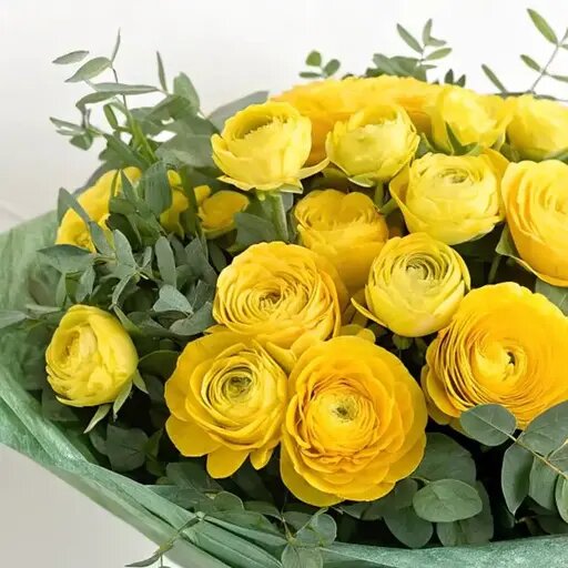   Какие цветы на день рождения выбрать в феврале Мария Казённова