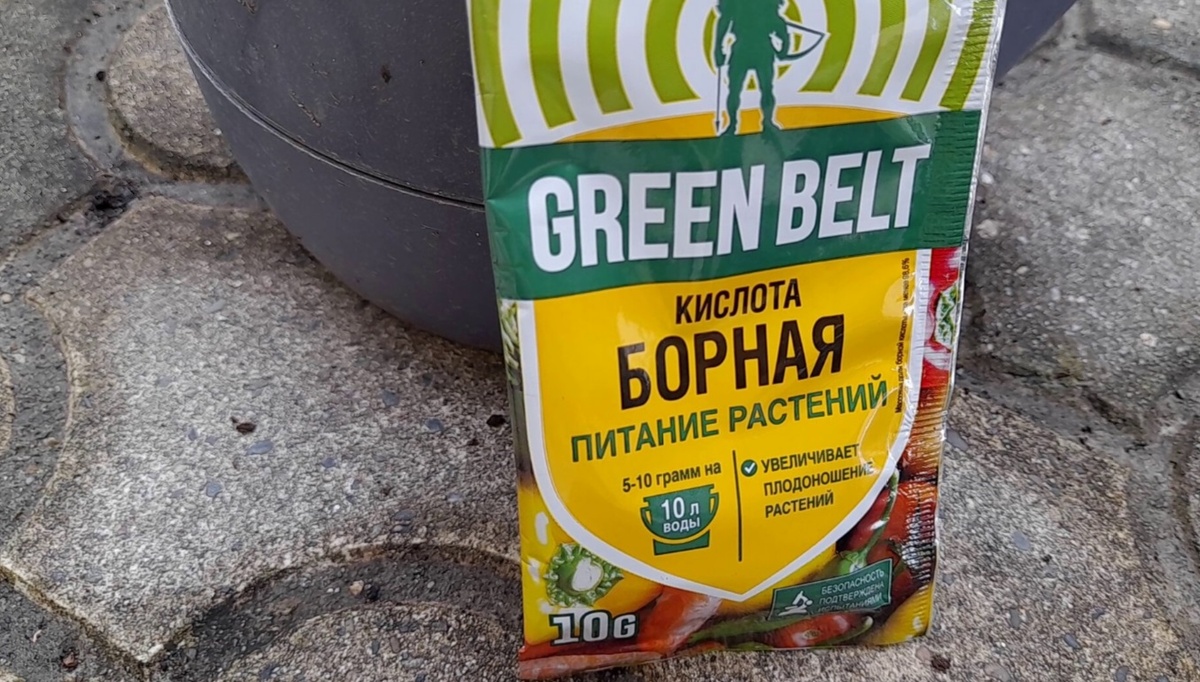 Бор для растений: залог здоровья урожая