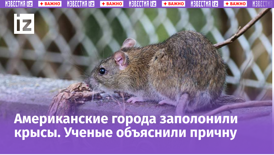 Global Look Press/Wolfram Steinberg