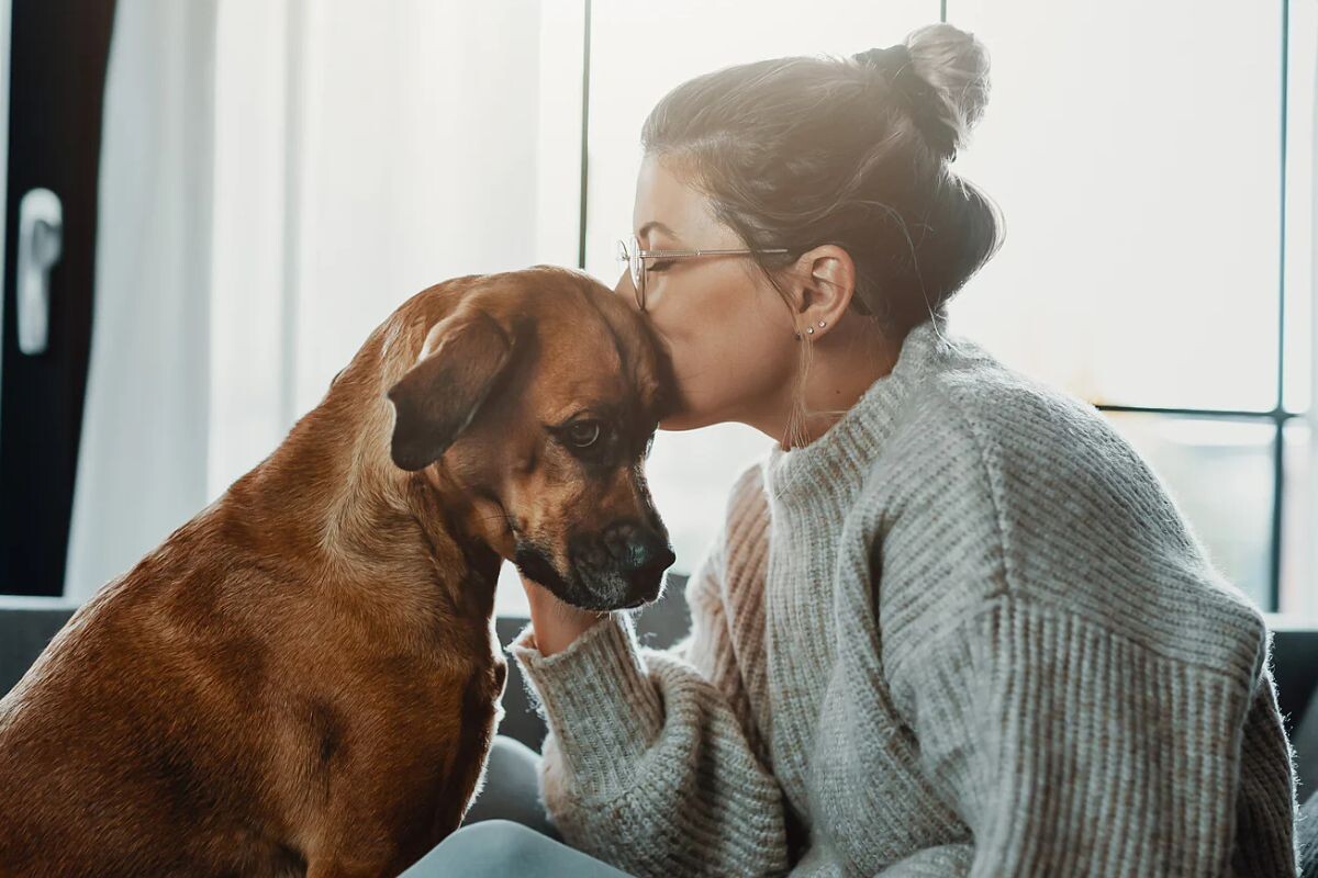 Хозяйка целует собаку 