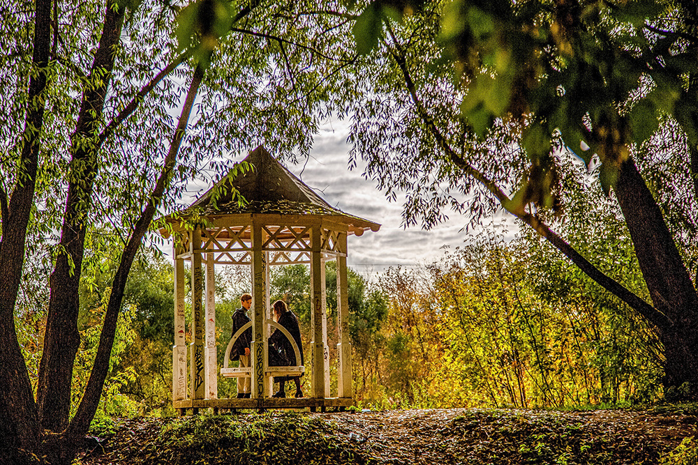 Тверские педагоги обсуждают «демографические» идеи федеральной чиновницы