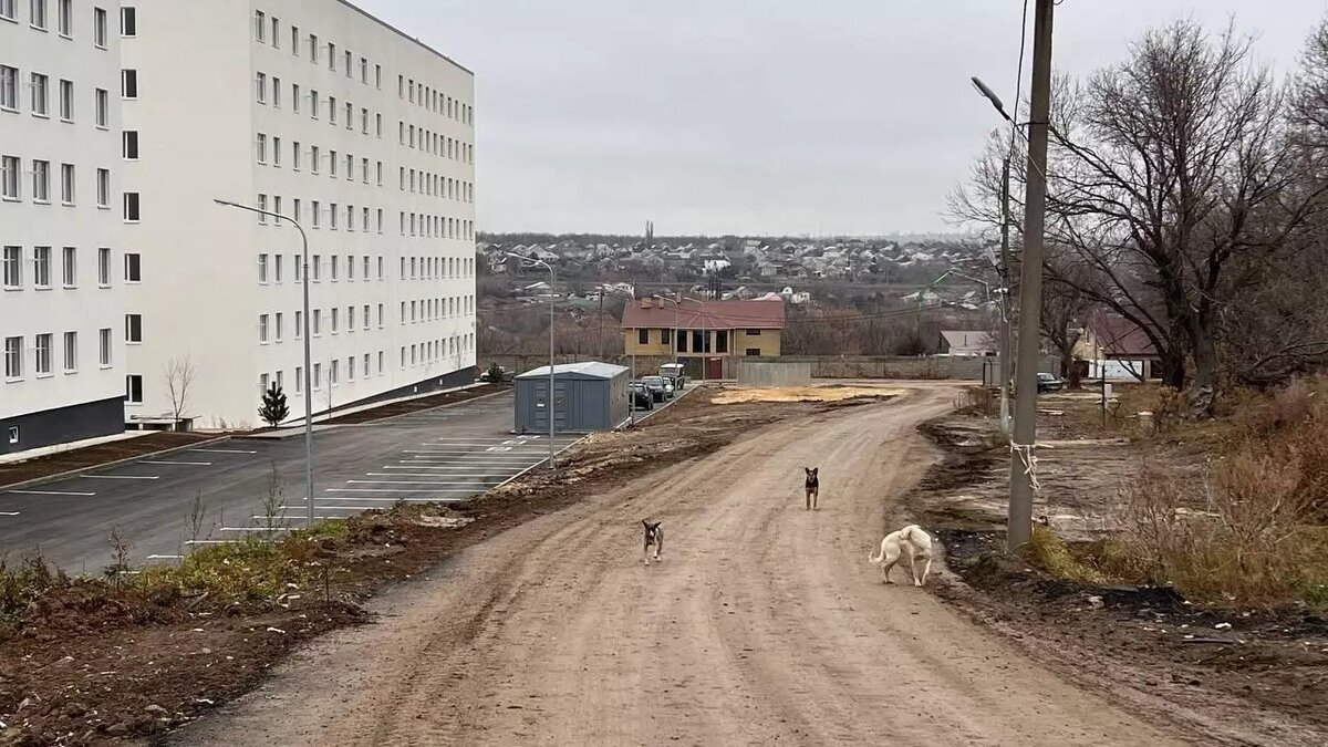     Источник: novostivolgograda.ru