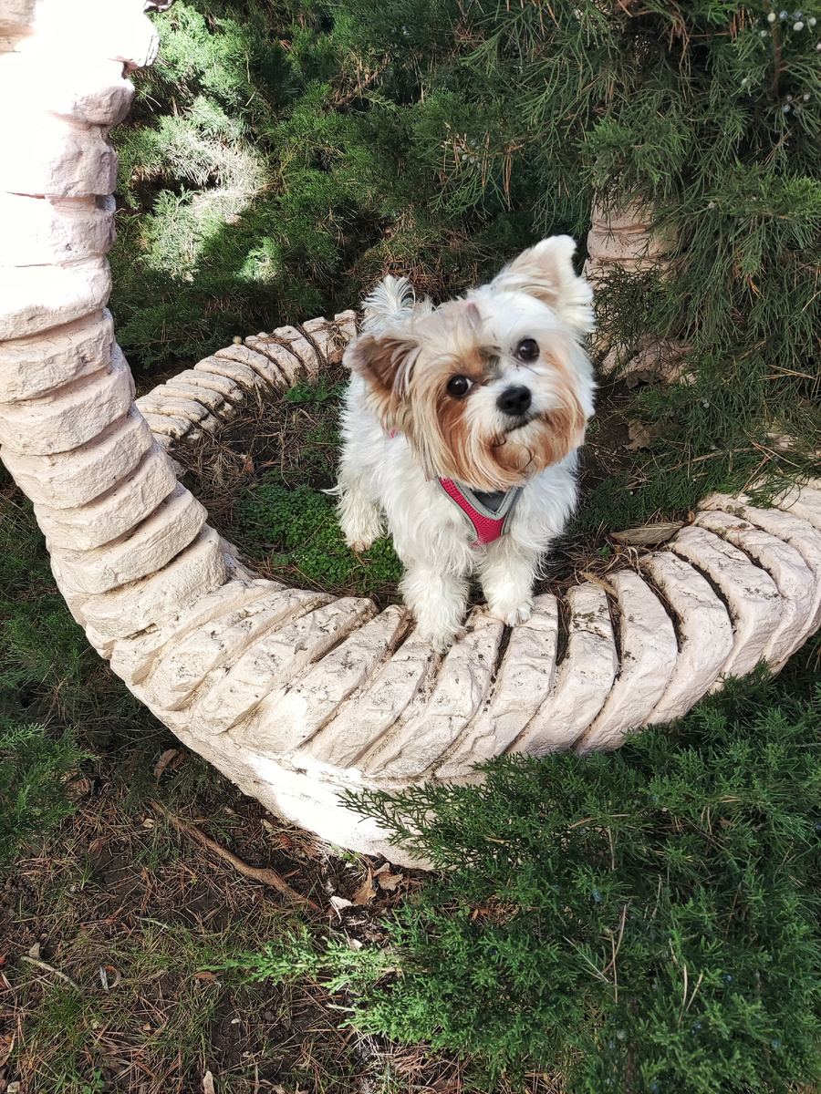 Наша Бусинка! 