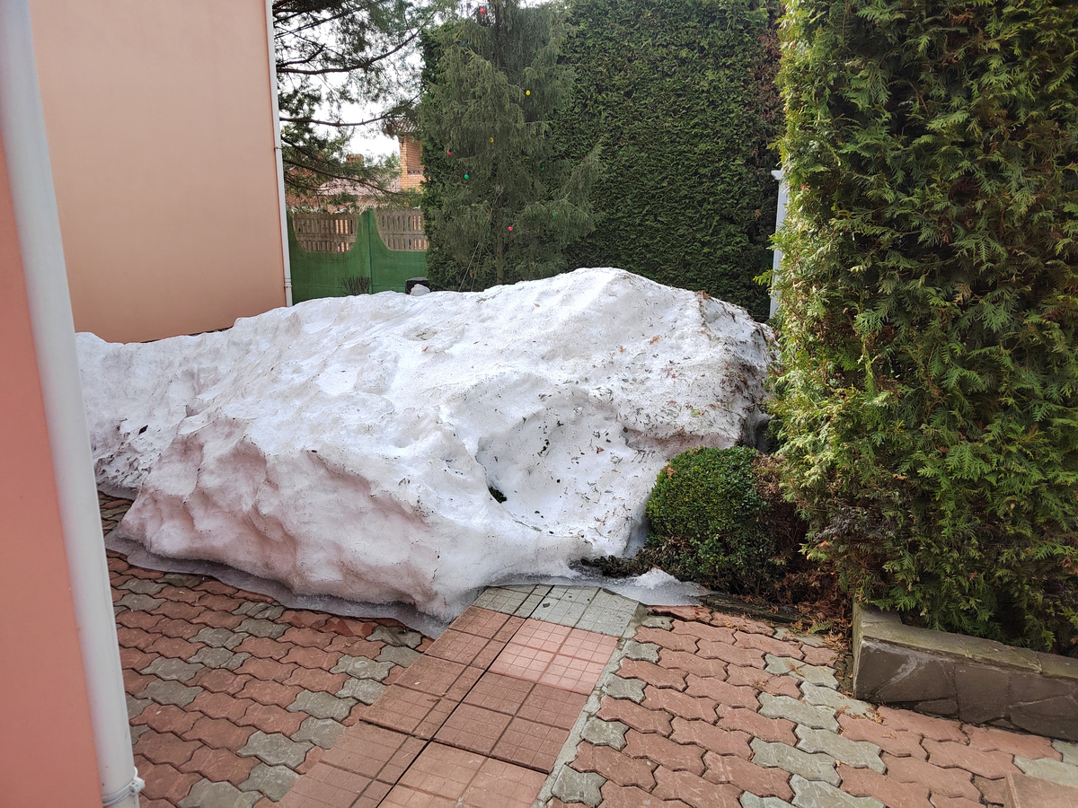 1 апреля 2024 г.