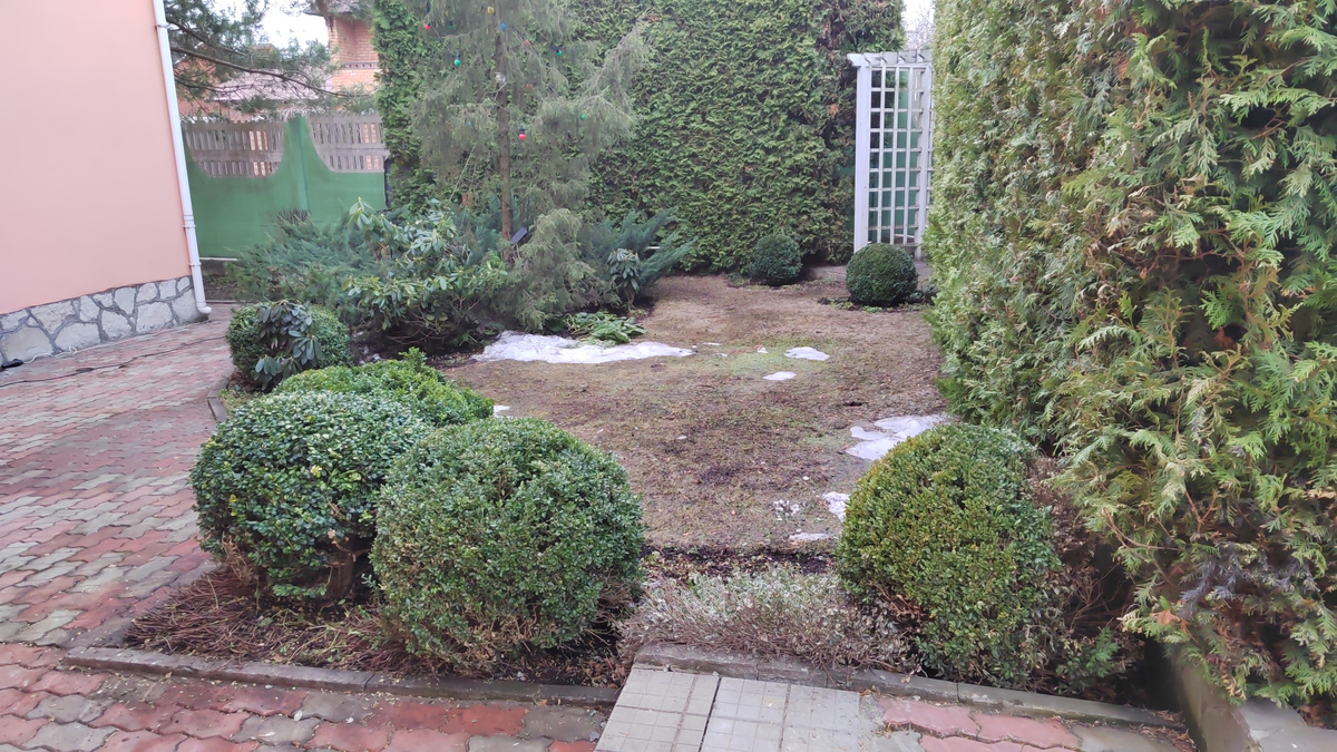 8 апреля 2024 г.