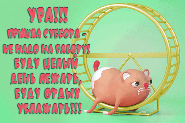 Из открытого источника. 