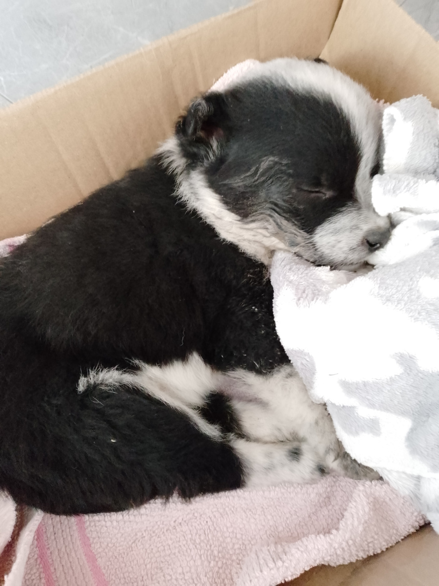 Только с улицы