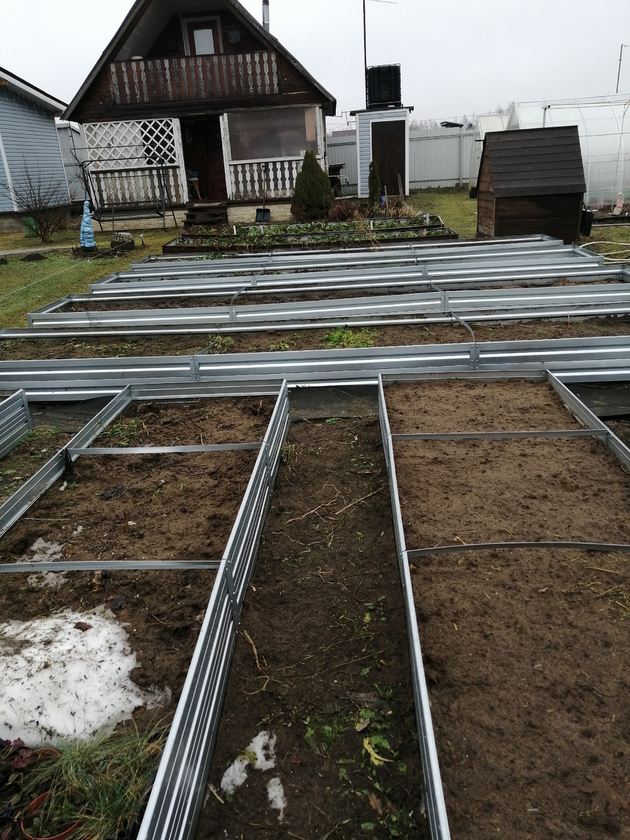 Чеснок пока в земле