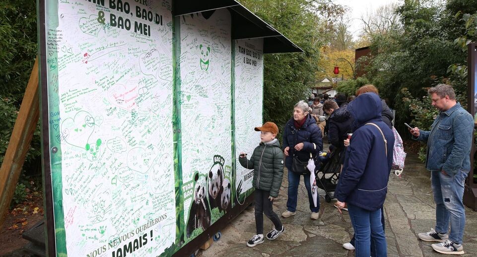    Zhao Dingzhe / Global Look Press