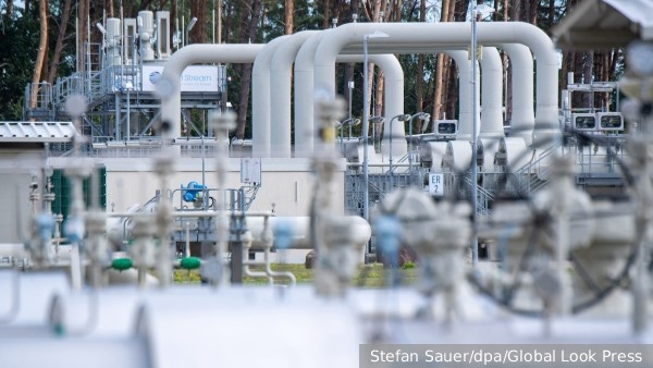     Фото: Stefan Sauer/dpa/Global Look Press   
 Текст: Вера Басилая