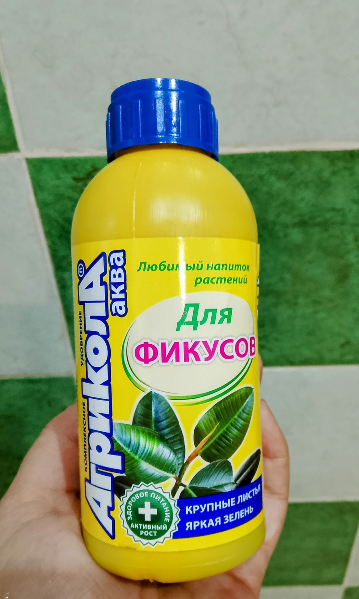 Любимое удобрение для зелёных цветов 