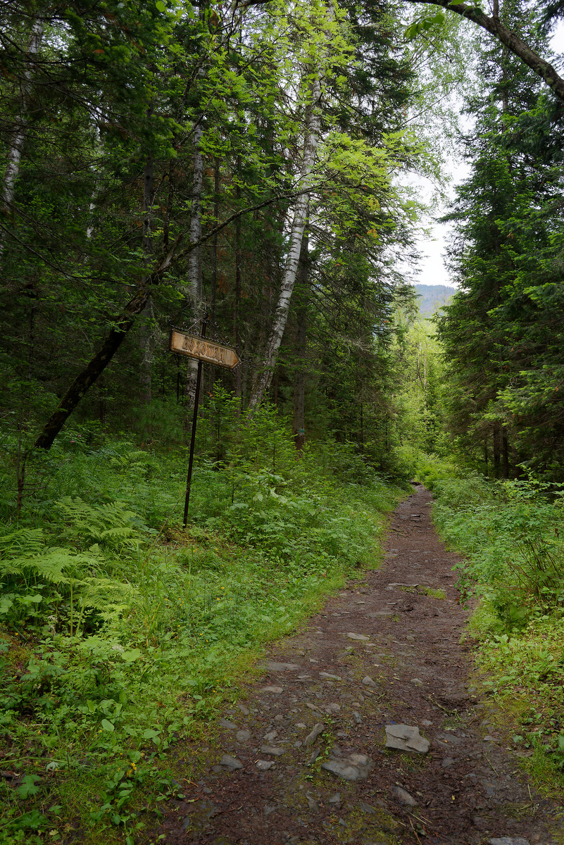 Путь к водопаду.