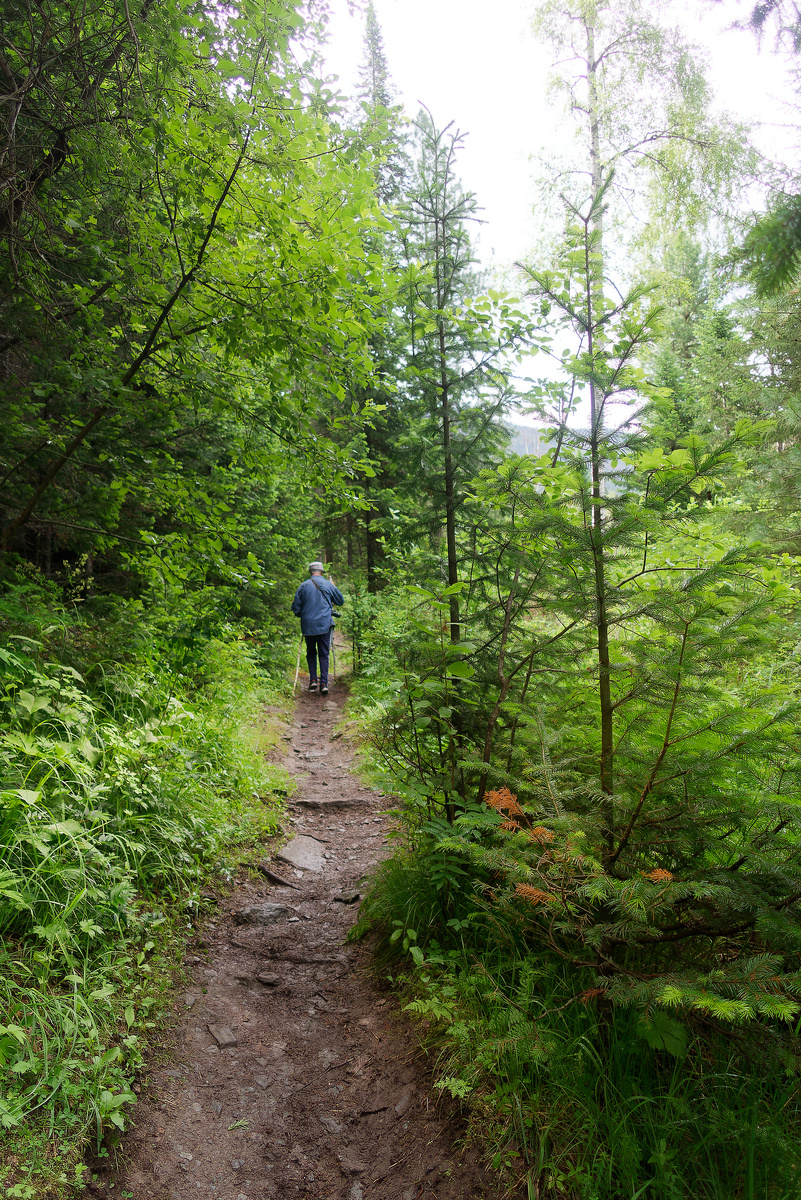Вперед, только в перед!