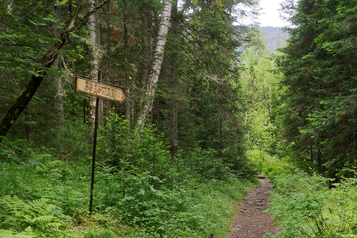 Путь к водопаду.