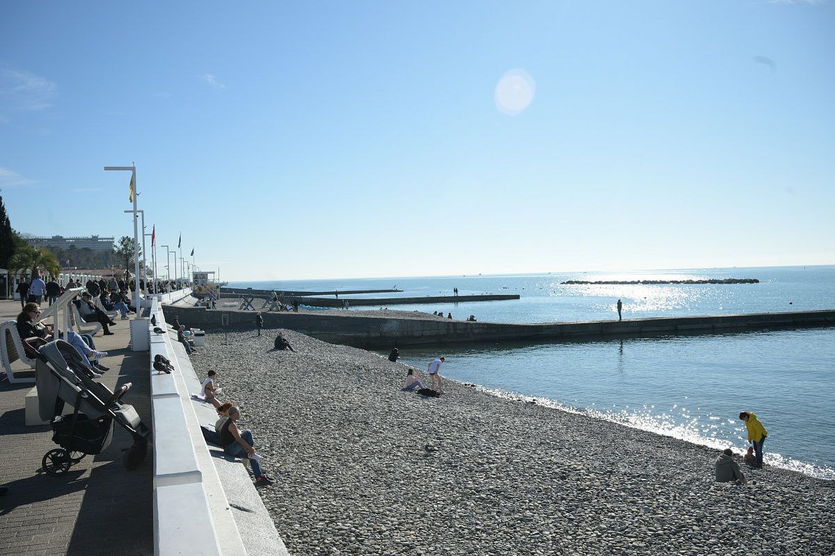    Фото: Telegram/Сочи Официальный