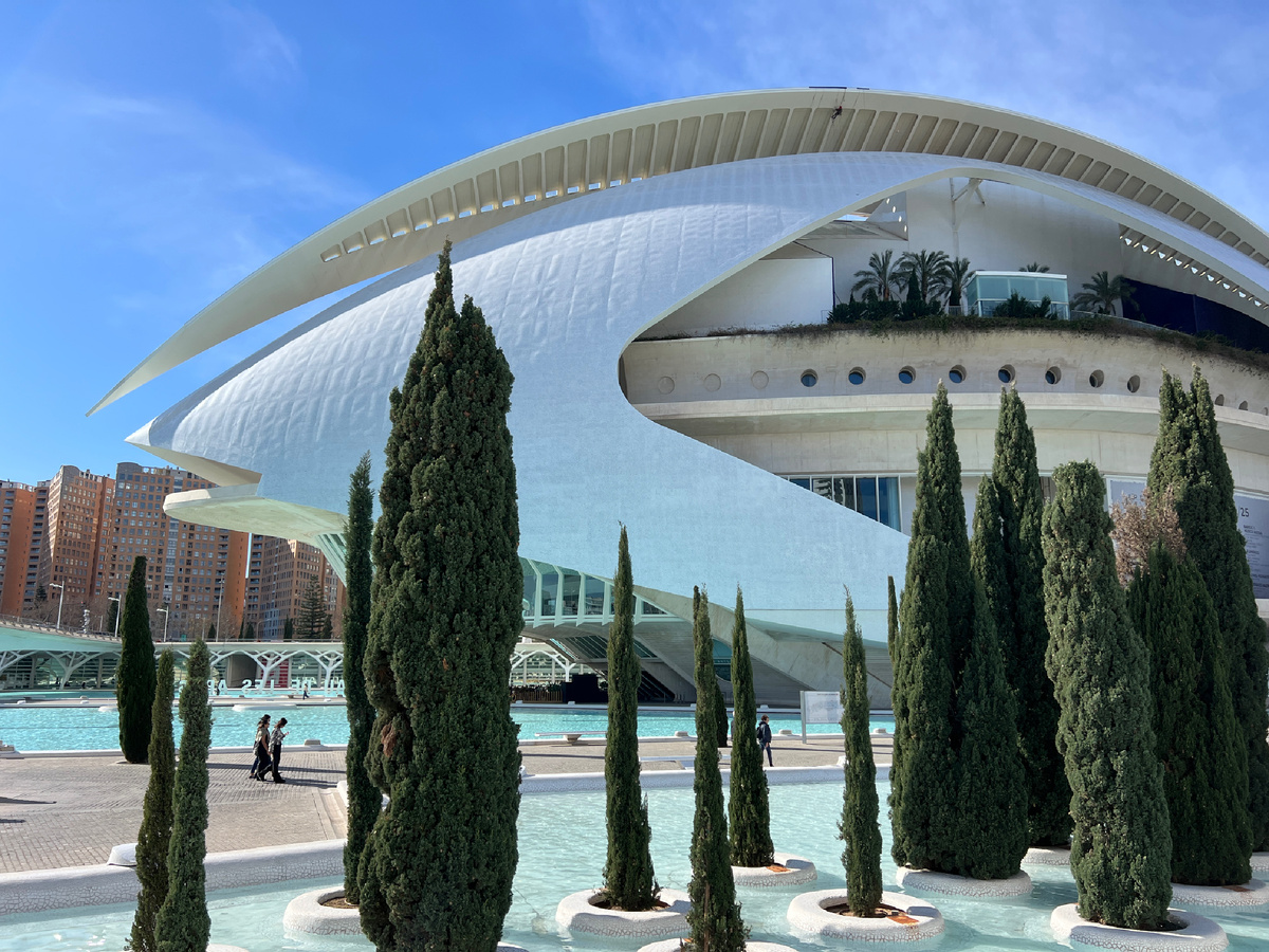 «Город науки и искусства» в Валенсии. Фото автора