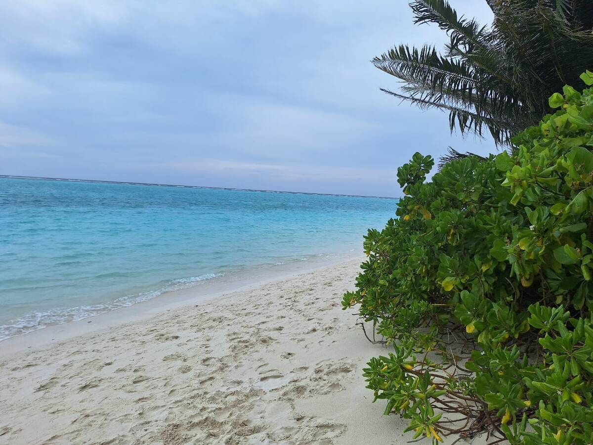 Мальдивы остров Тодду