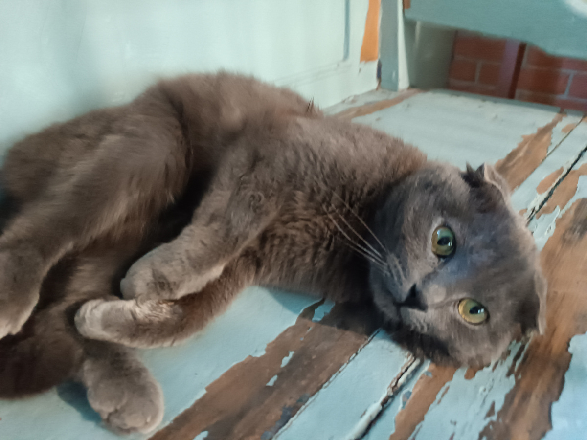 Тимоша в августе 2024