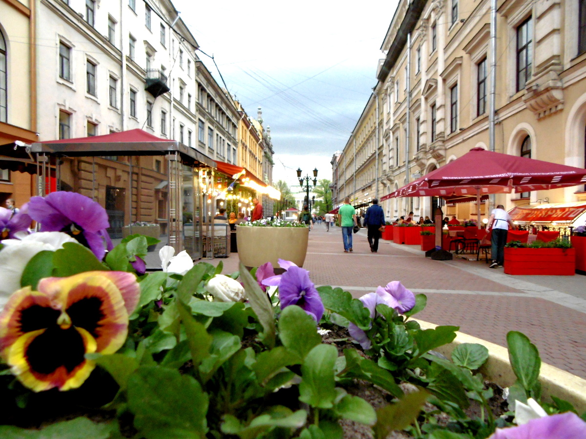 Малая Садовая. Фото автора