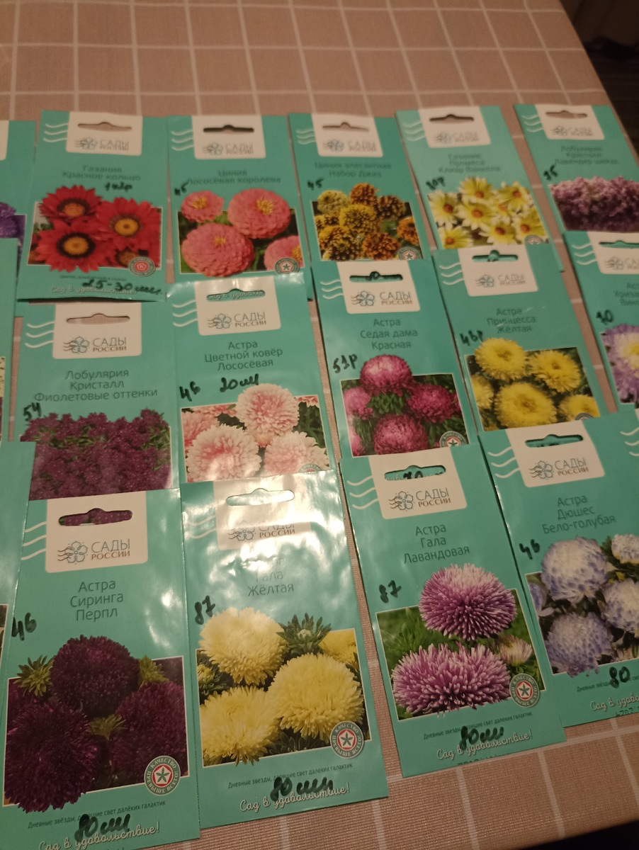 Мои "богатства", по вечерам раскладываю как пасьянс.