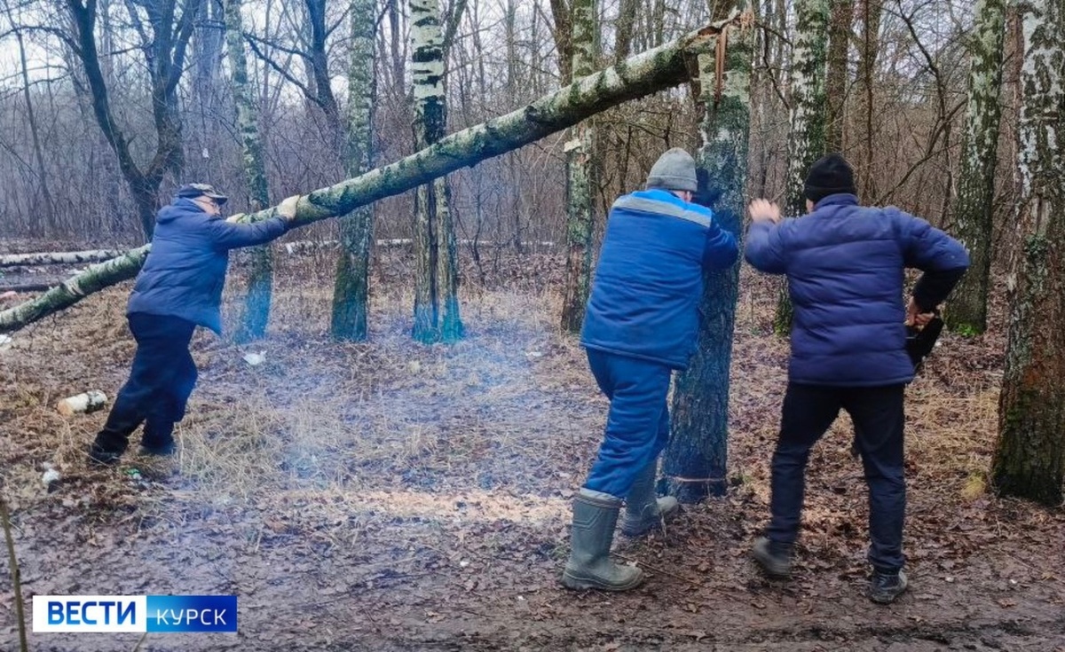    Курские пенсионеры помогают фронту