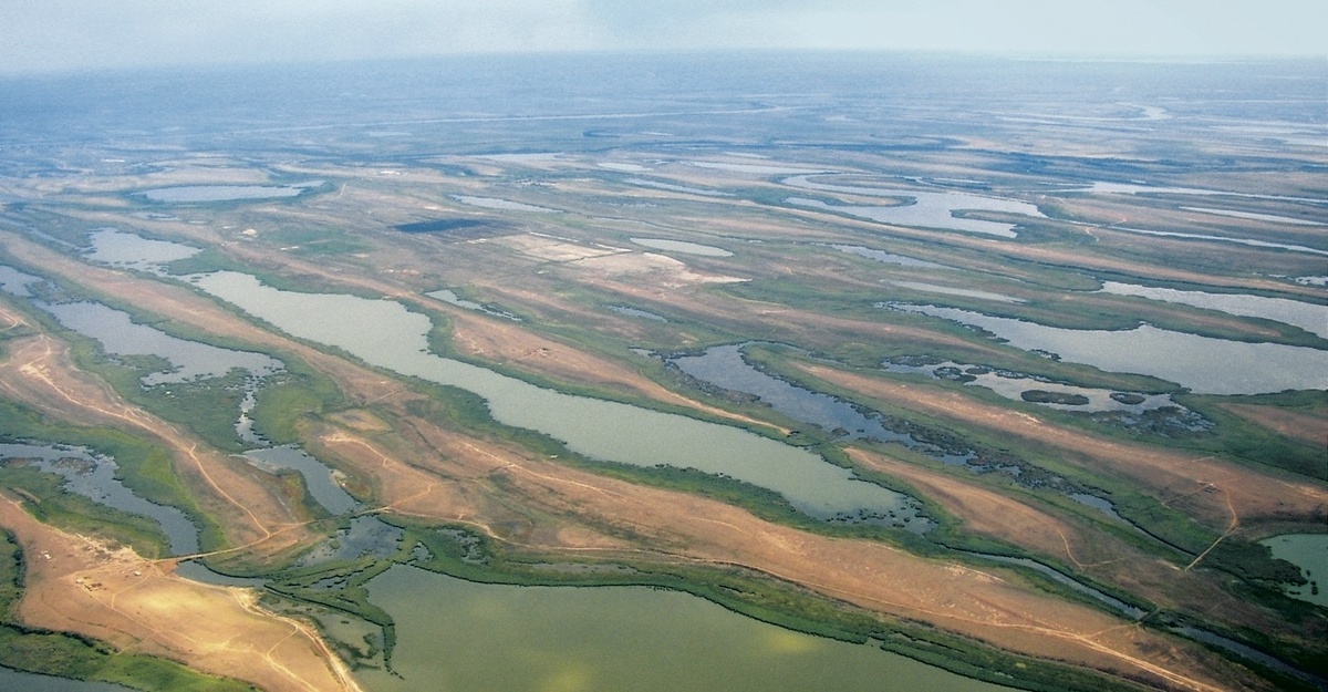 Рис. 1. Бэровские бугры в Прикаспии.