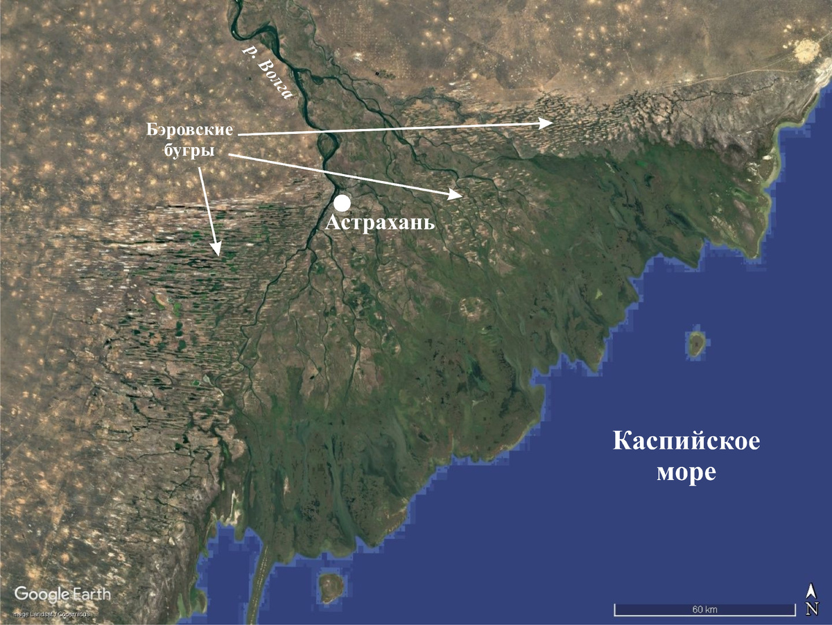 Рис. 2. Бэровские бугры на карте Google Earth.