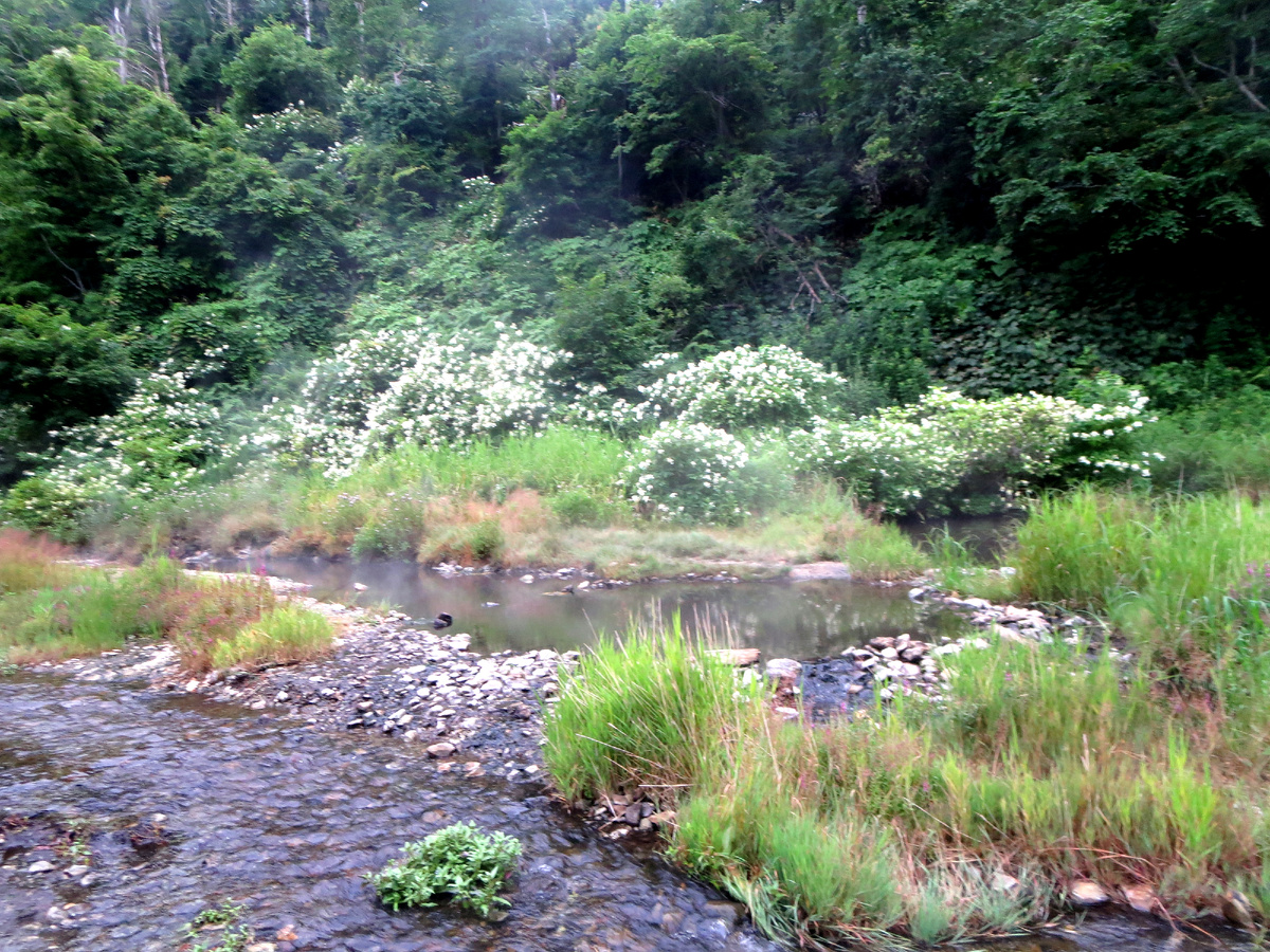 ванны разной температуры, но можно выбрать подходящую
