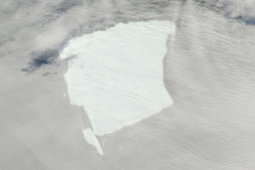 Фото: Арктический и антарктический институт (ААНИИ) / VK