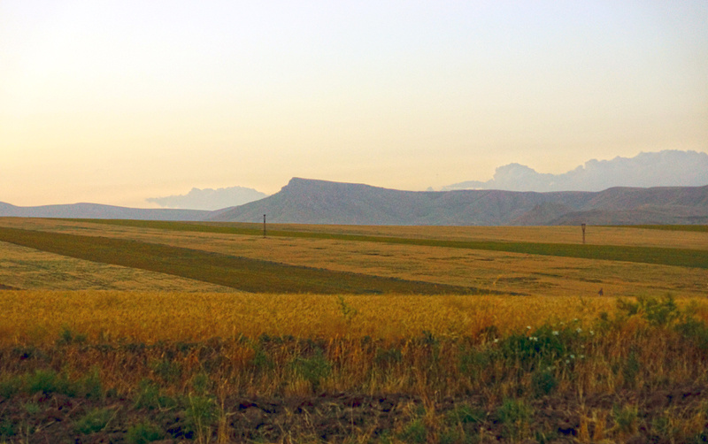 Одна из вершин Боралдайтау - отрога хребта Каратау. Точно узнать название горы не получилось (с этим в Казахстане почему-то вообще беда)