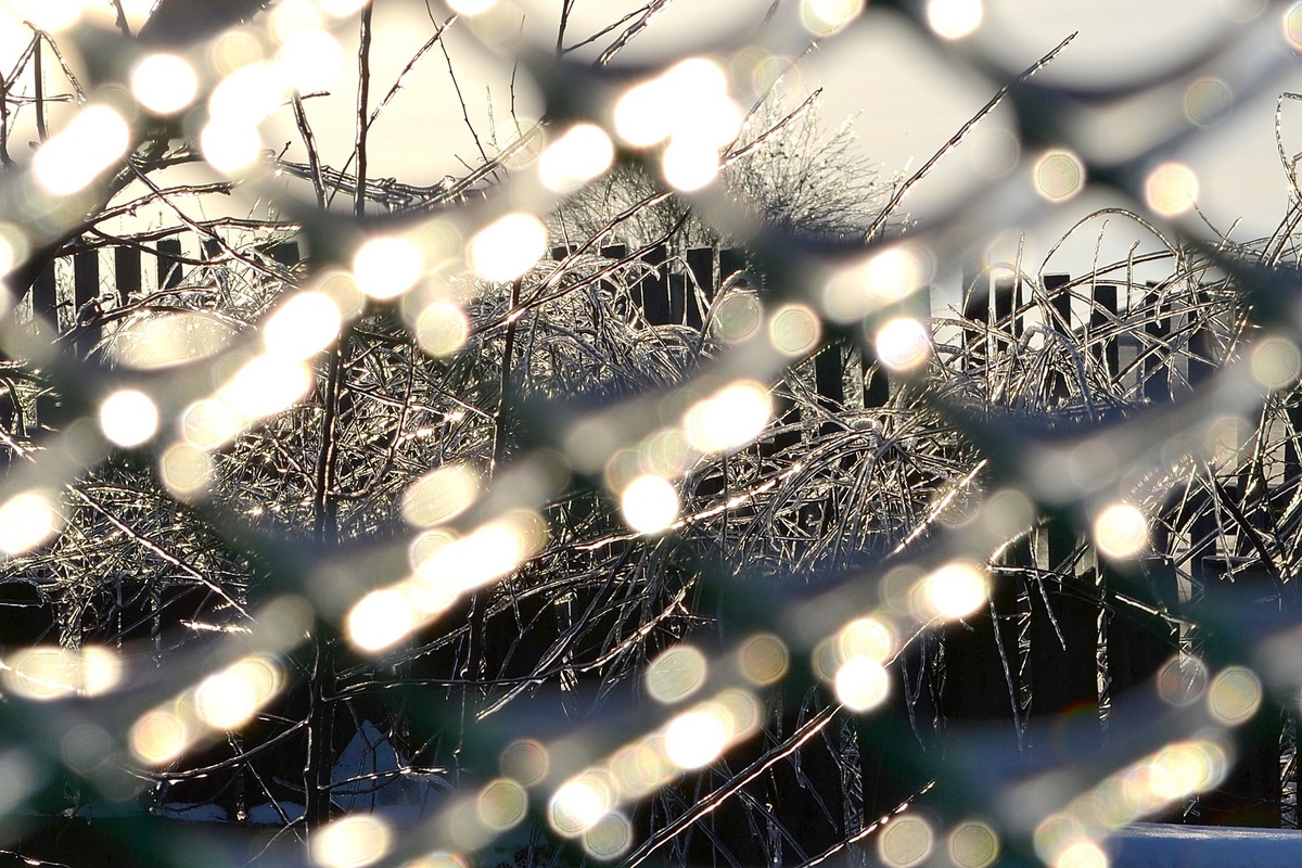 Фото автора. Зима 2016 года, Почти без снега
