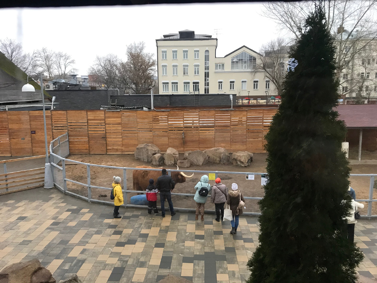 Вид из окна.