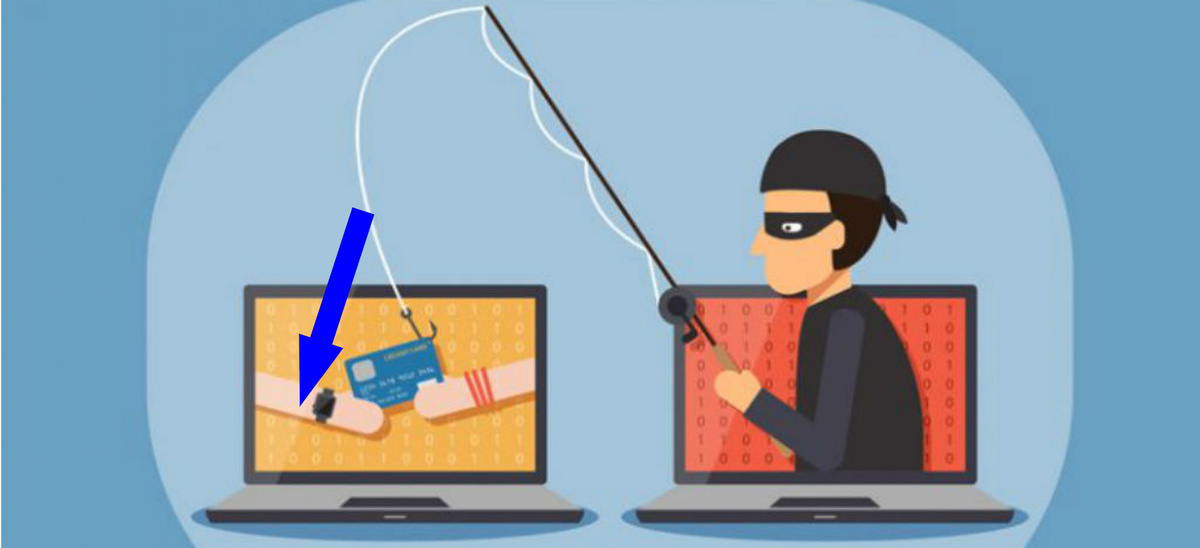    Коды из ниоткуда: как мошенники используют Госуслуги