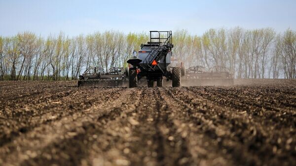    © Sputnik / Кирилл Брага