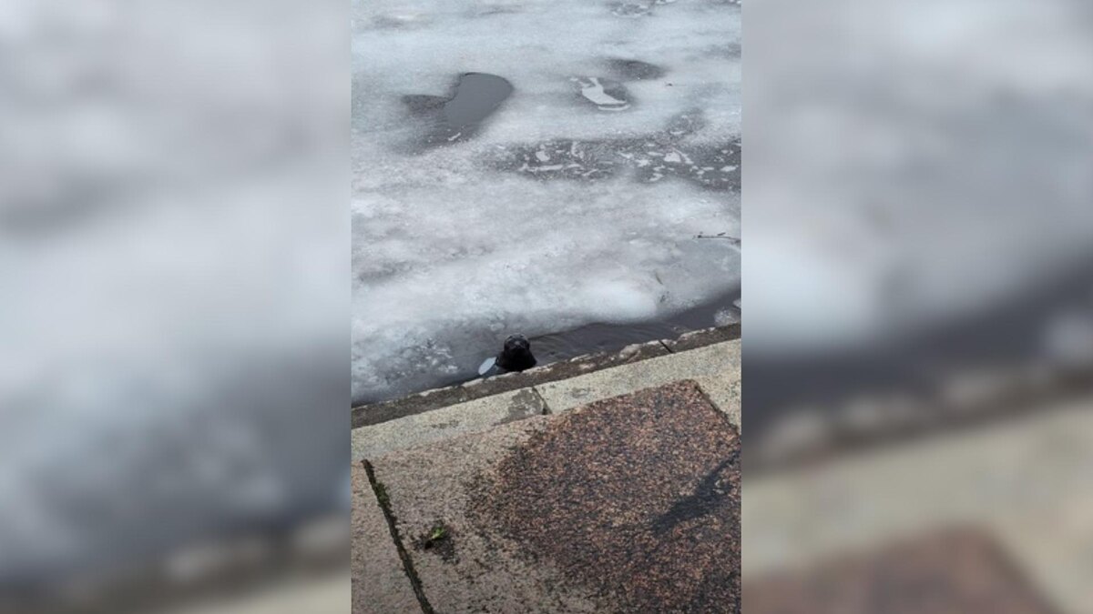 Фото: @BlendSheФото: @BlendSheФото: @BlendShe