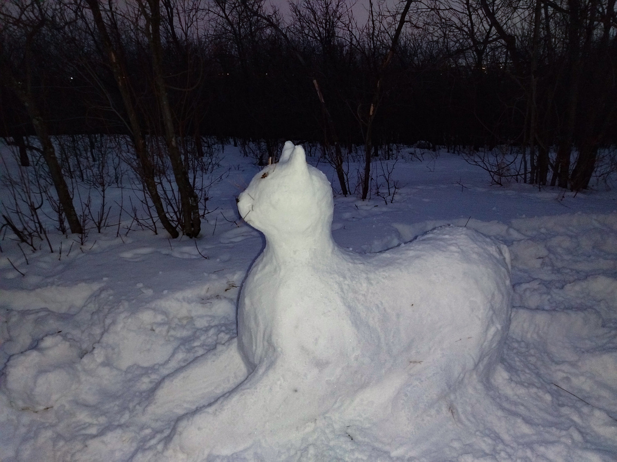 Вчера вот кошек слепили