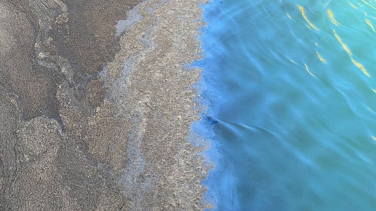    Фото: телеканал «Краснодар»