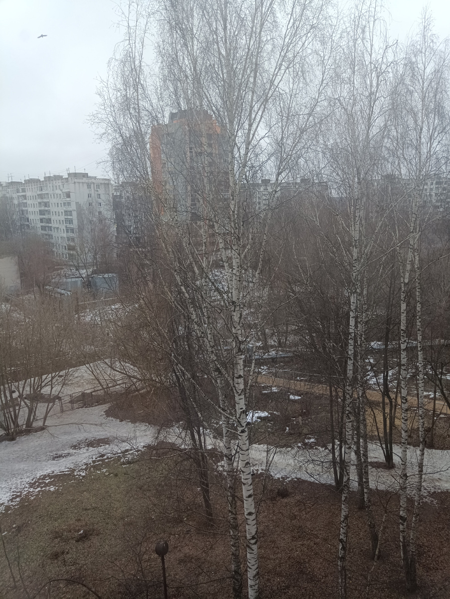 За окном 1 февраля, а похоже на апрель