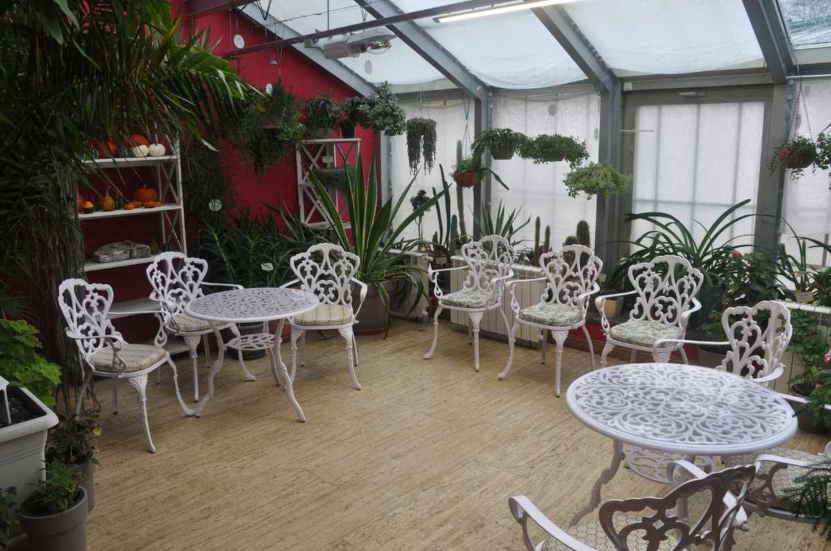 Оранжерея. 17 октября 2024 года.