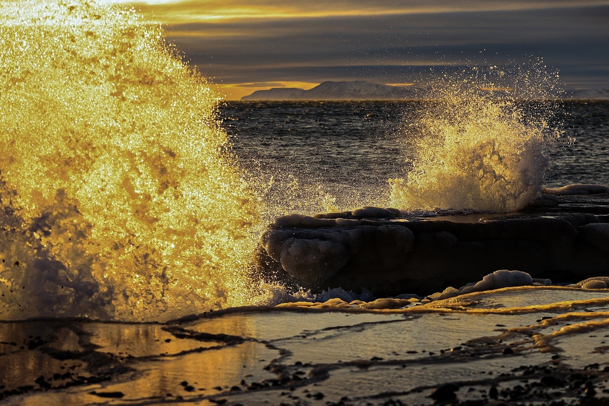 Фото: Природа Колымы / Олег Шмелёв