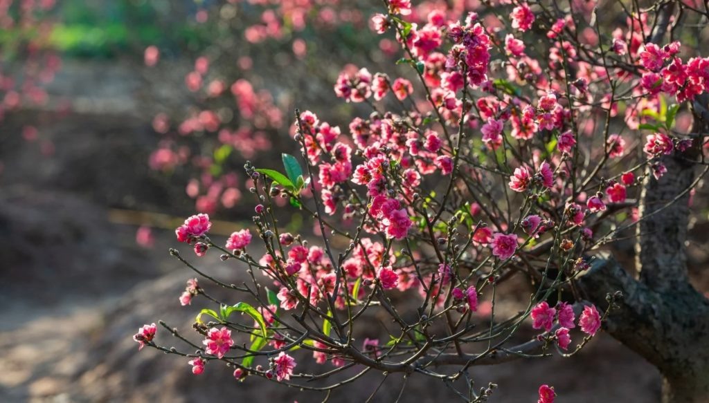 Фото из архива