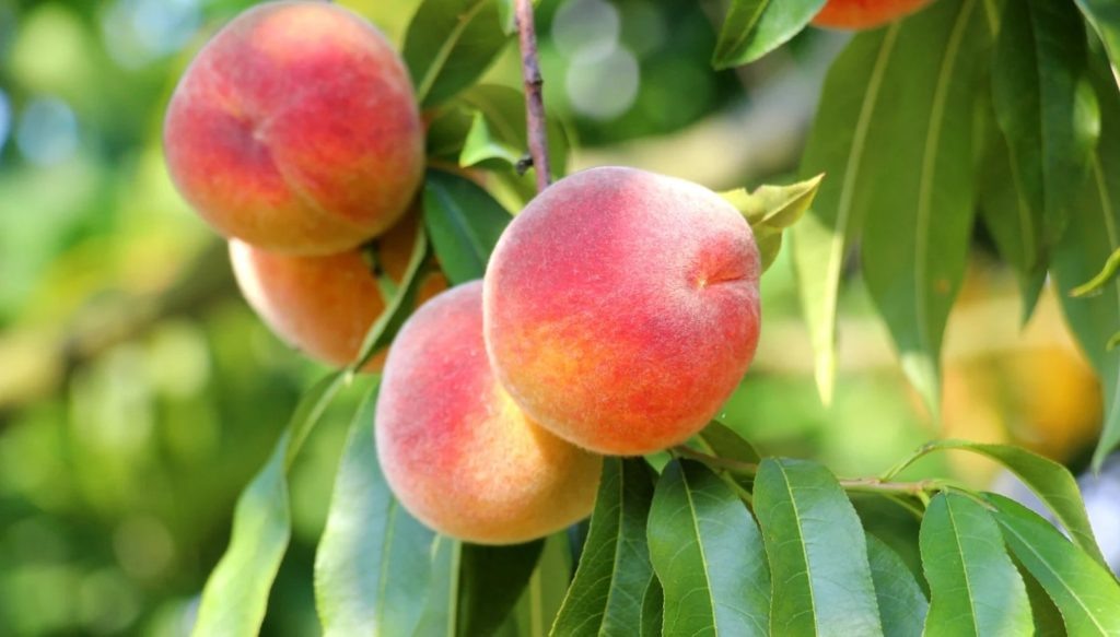 Фото из архива