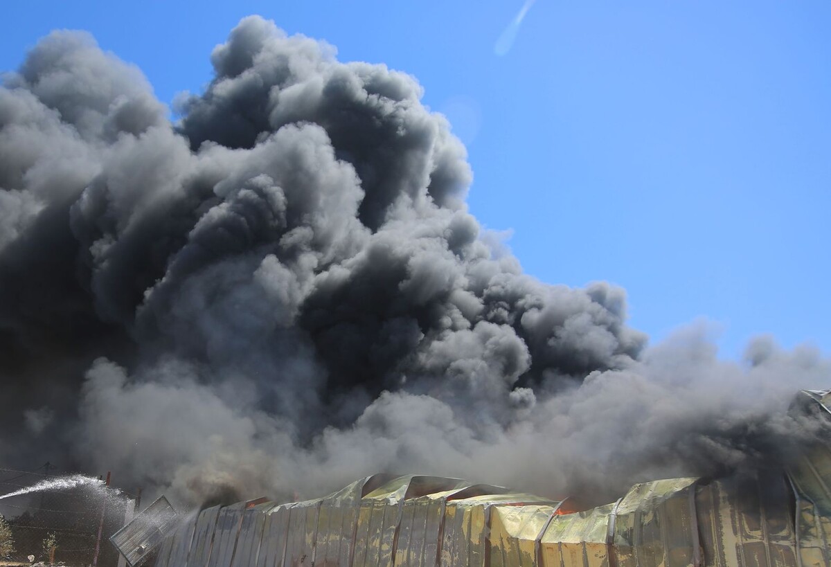     / Источник: © Global Look Press