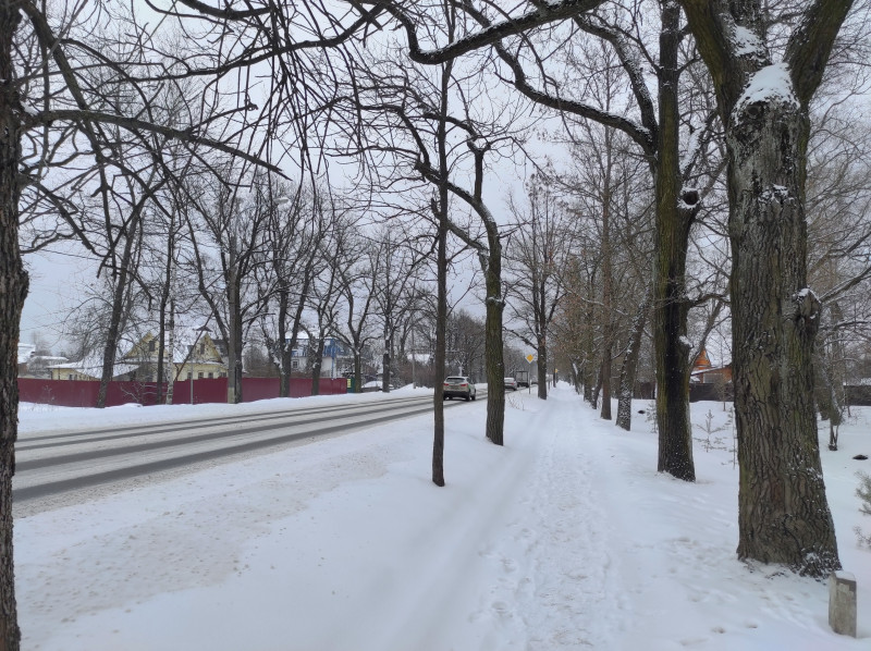 Шоссе с обеих сторон обсажено деревьями. В западнорусских краях такие дороги называли "гостинцами"