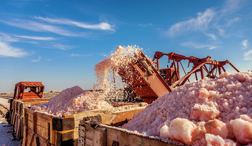 Владелец данного фото: Яндекс Картинки