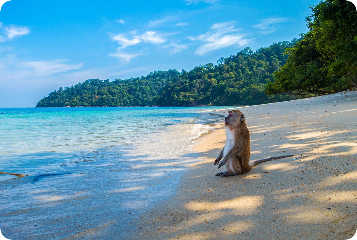 Я в отпуске...