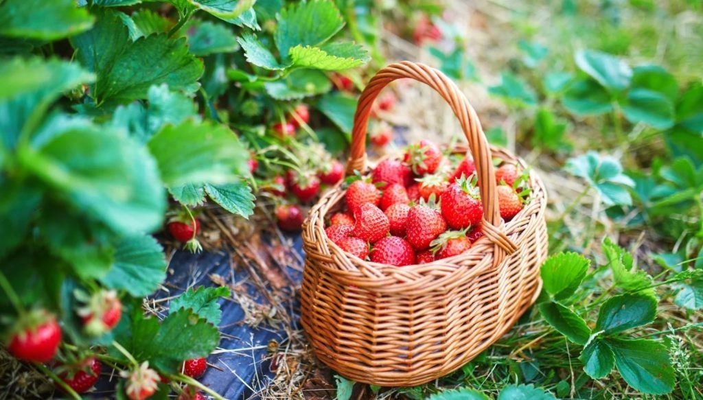 Фото из архива