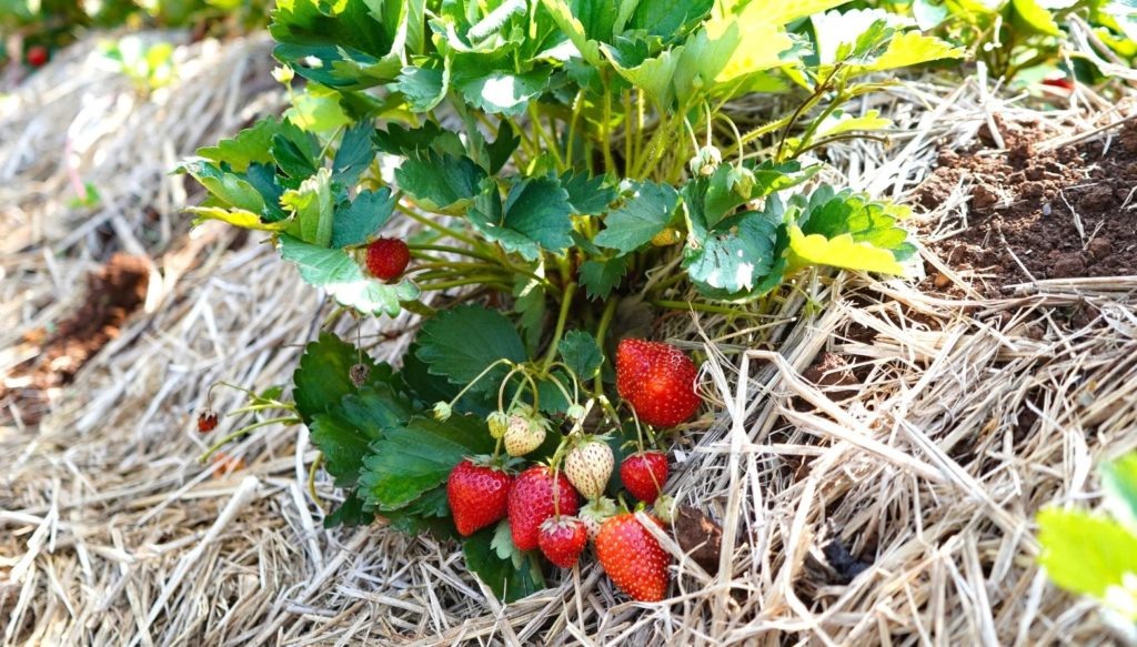 Фото из архива