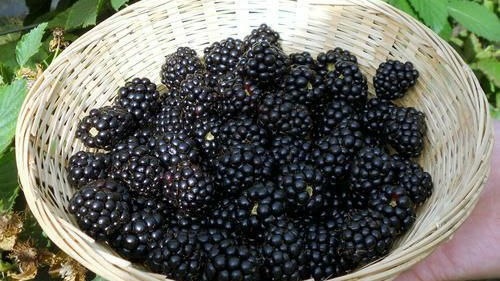 Фото с pinterest.com