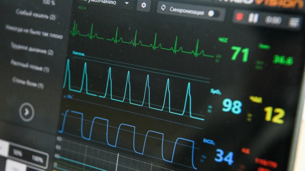    Фото: Ilya Moskovets/Globallookpress